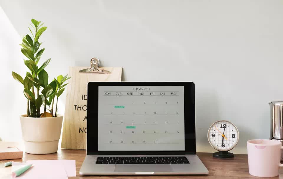 Cây diễm tư: Loại cây xanh thượng thặng đem tài lộc về nhà - Ảnh 6.