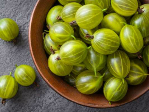 Người xưa điều trị yếu sinh lý như thế nào - 2