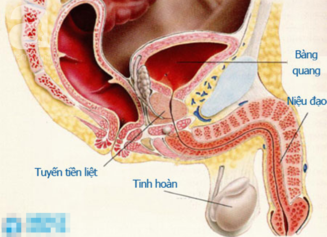 'Tự sướng' quá đà: 2 thanh niên lĩnh hậu quả ngay trước ngày cưới và bác sỹ điều trị cũng phải 'bó tay' - 2