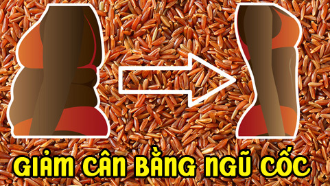 8 loại hạt bạn nhất định phải ăn nếu muốn giảm cân hiệu quả