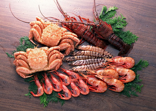 Hải sản là thực phẩm mà người bệnh hen cần tránh.