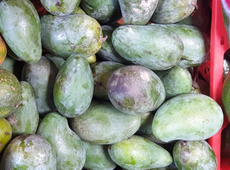 Công dụng bất ngờ của nước ép từ quả xoài sống - ảnh 1