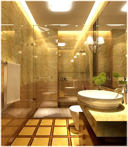 hình ảnh buồng tắm kính được phân tách với khu vực vệ sinh bên ngoài bằng vách kính trong suốt