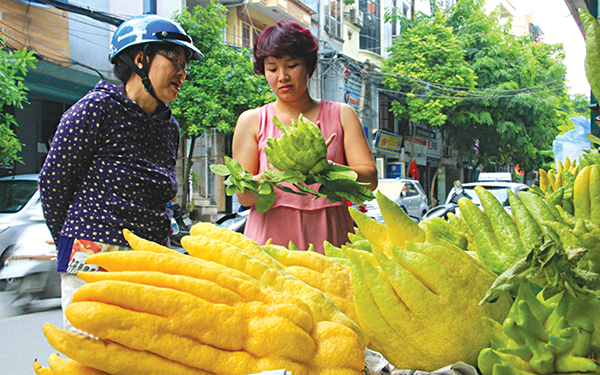 Quả phật thủ