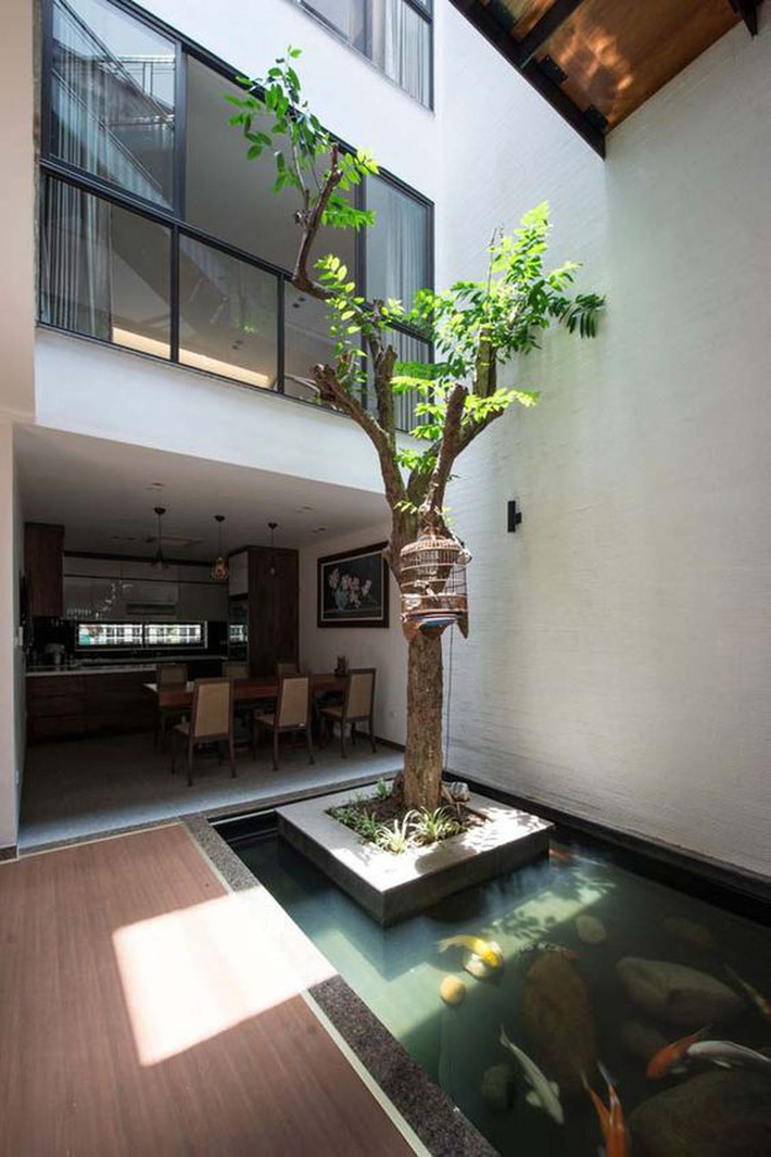 tiểu cảnh giếng trời ấn tượng
