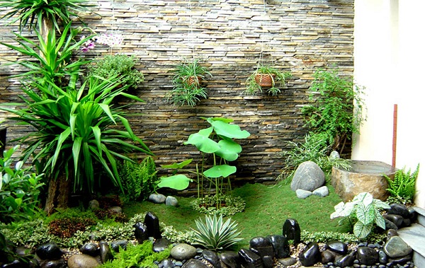 Hồ tiểu cảnh