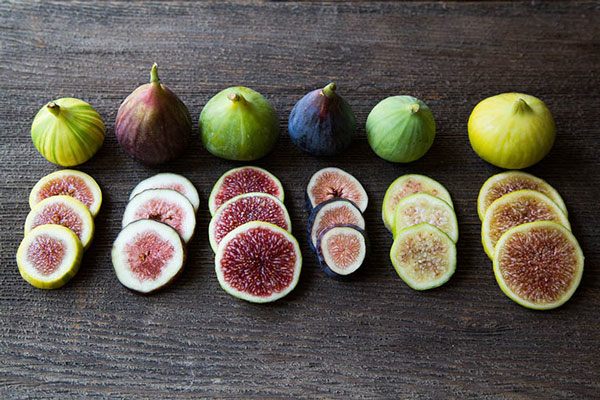 Tác dụng của quả sung là gì? Ăn sung có bất lợi gì không? - 4