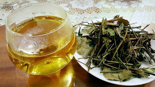 Tác dụng của lá vối, uống nước lá vối có giúp giảm cân không? - 3