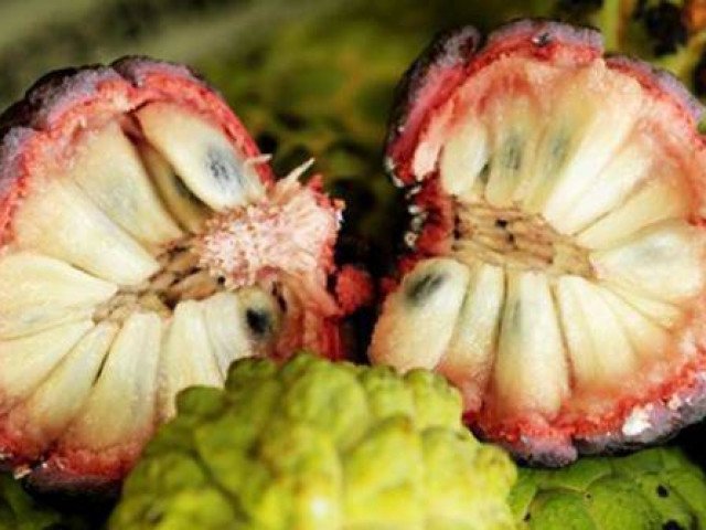 Quả na rất tốt nhưng chỉ ăn vào khung giờ này, lưu ý những người cần tránh