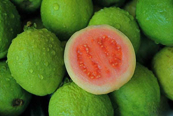 Ăn ổi có tốt không? Những tác hại của ổi không phải ai cũng biết - 3