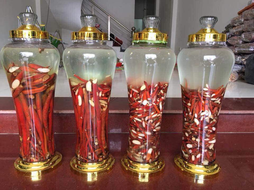 Sâm cau là gì? Tác dụng của sâm cau và ai không nên dùng - 5