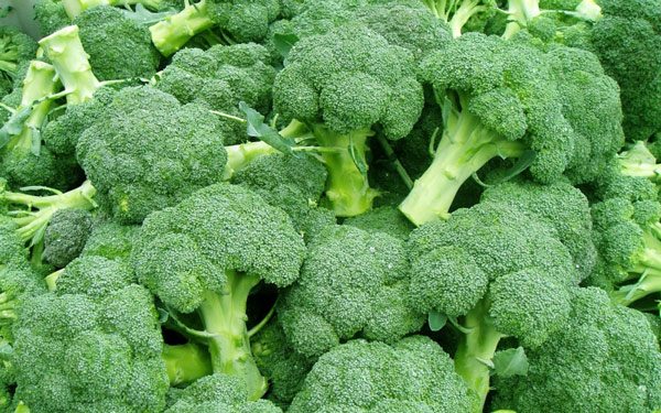 15 thực phẩm tốt cho thận nên ăn thường xuyên để thận khỏe - 3