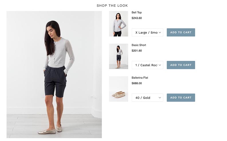 Shop the Look App allows your customers to purchase multiple products