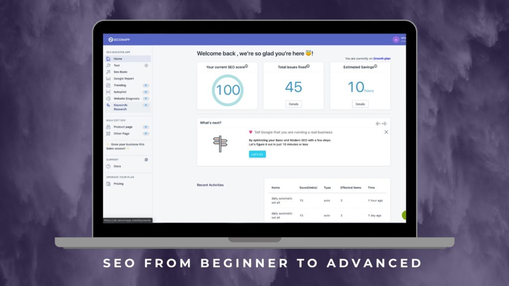 Screenshot of the SEO Booster dashboard