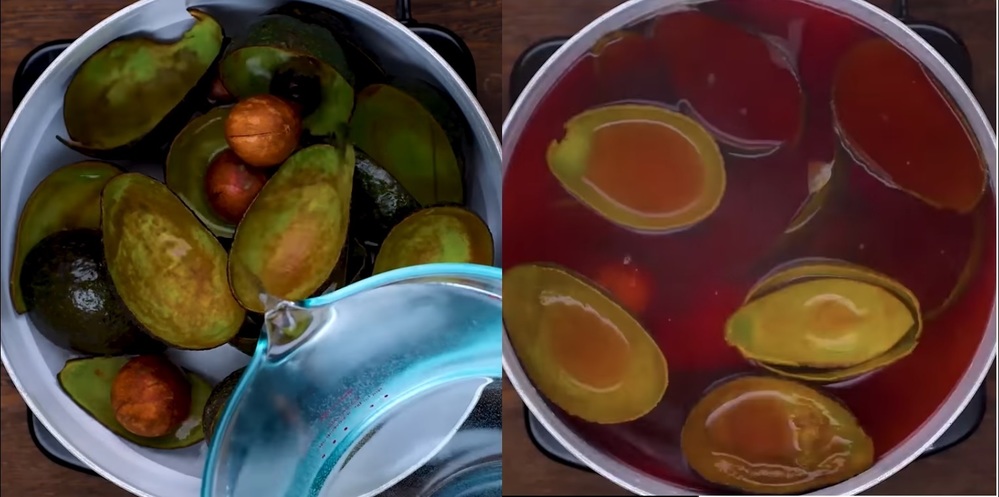 Vỏ và hột bơ đều cho ra màu nhuộm