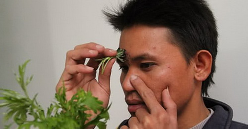Một số biện pháp không dùng thuốc trị ngạt mũi hiệu quả.
