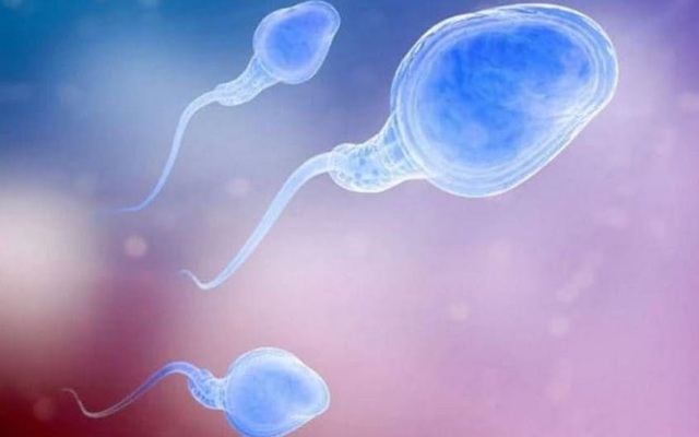 Mức độ ô nhiễm cao hơn có liên quan đến tinh trùng kém chất lượng.