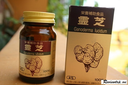 Nấm Linh Chi Ganoderma Lucidum cao cấp Nhật Bản