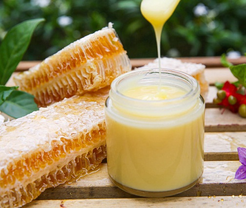 sữa ong chúa - món quà quý giá mà thiên nhiên ban tặng