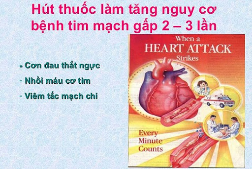 Làm gì để tốt cho tim mạch