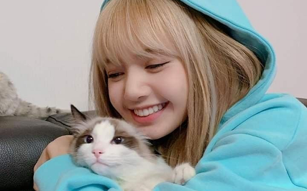 Làm gì để tốt cho tim mạch