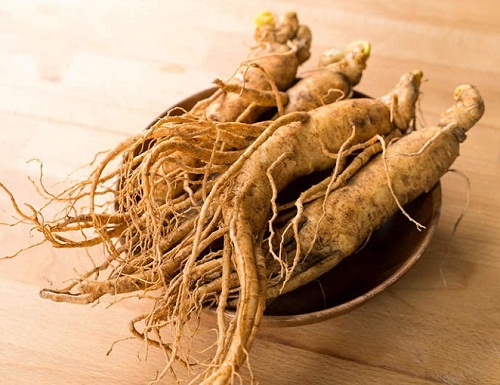 nhân sâm – thảo dược quý giúp tăng chất lượng tinh trùng