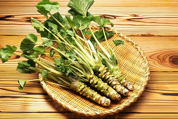 Cải ngựa (cải horseradish)