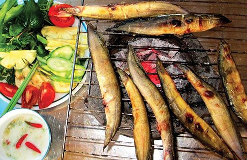 Món ăn từ cá 'tốt hơn Viagra' cho quý ông - 1