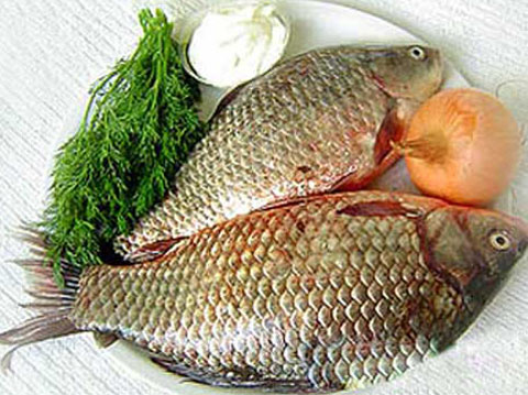 Cá chép - Bổ âm, chữa bệnh phụ nữ