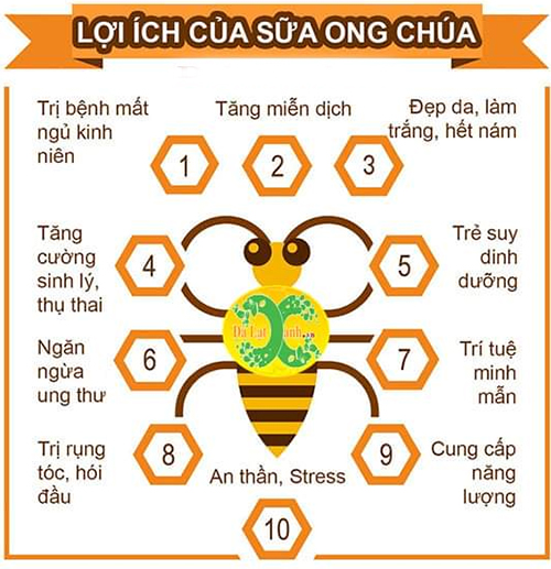 những tác dụng của sữa ong chúa