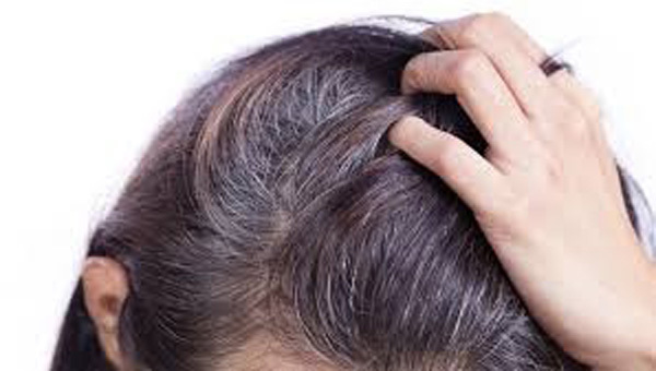 Bộ 3 Tóc Haco: hỗ trợ giảm khô xơ, gãy rụng ở tóc
