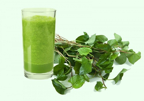 Chữa bệnh trĩ bằng phương pháp dân gian và một số lưu ý Phòng Khám Đa Khoa An Giang