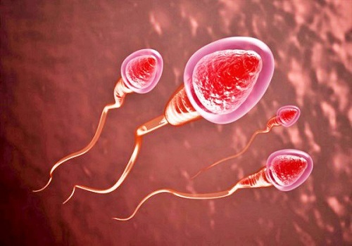 Các nguyên nhân dẫn đến không có tinh trùng ở nam giới