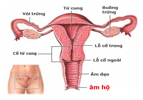 Cô bé bị sưng sau khi quan hệ nguyên nhân là do đâu?