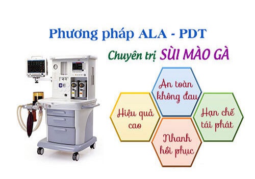 Bệnh sùi mào gà: nguyên nhân - triệu chứng và cách chữa trị