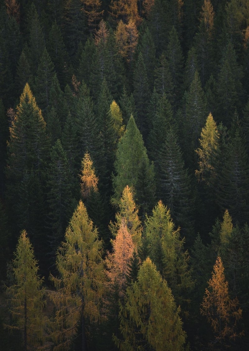 Schelbach Home Beratung & Design von exklusiver LuxusEinrichtung