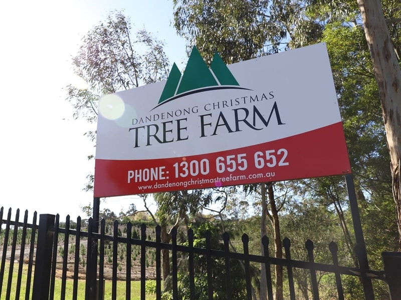 Home Dandenong Christmas Tree Farm