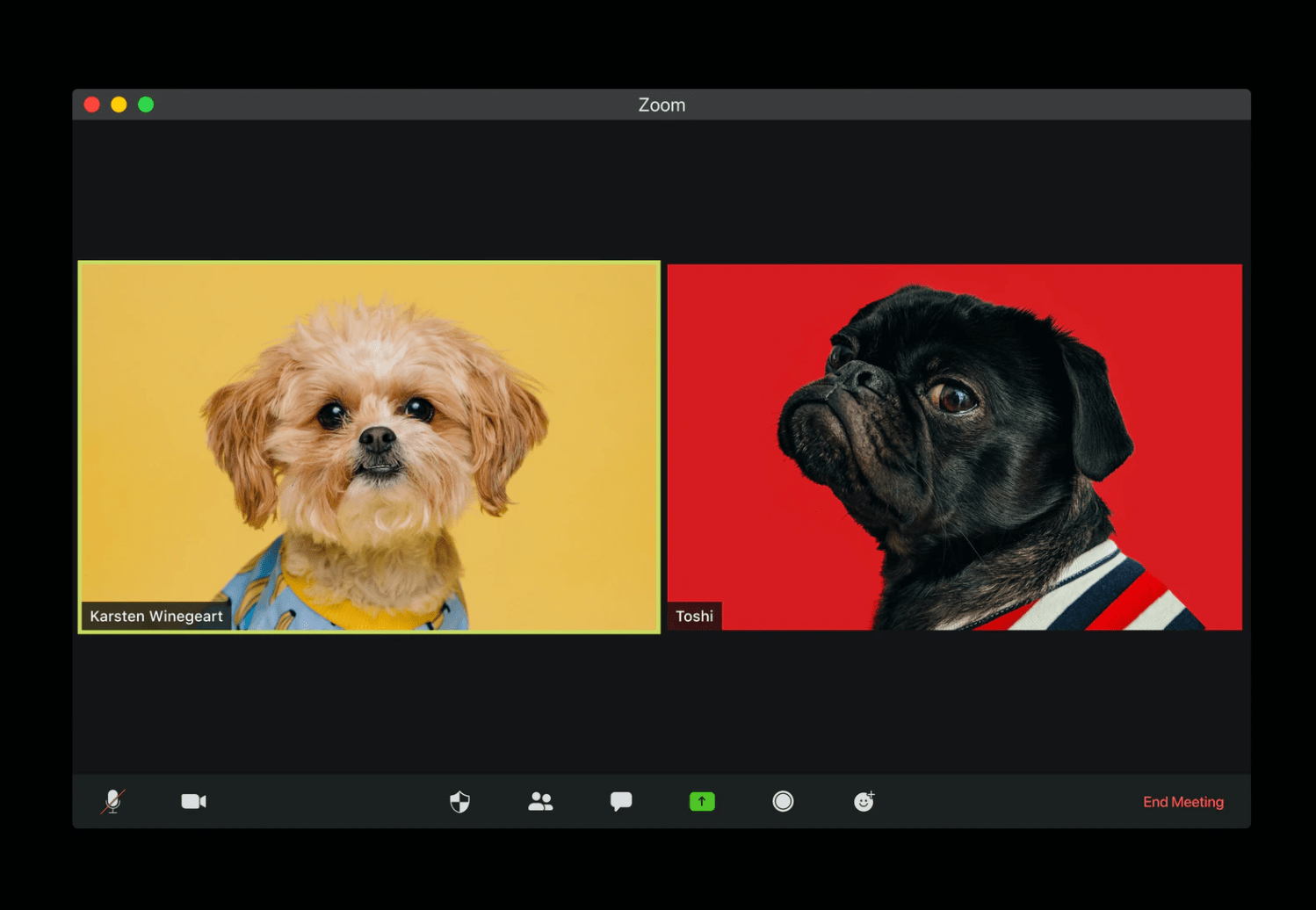 Issue #6: The Red Bull of the future, bringing AI to lending and going after the $97b pet industry 🐶