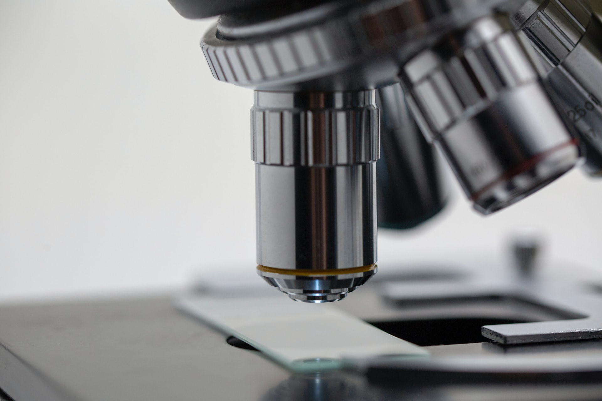 Issue #25: The stock being snapped up by hedge funds and a biotech company using gene editing to fight diseaseđź’ˇ