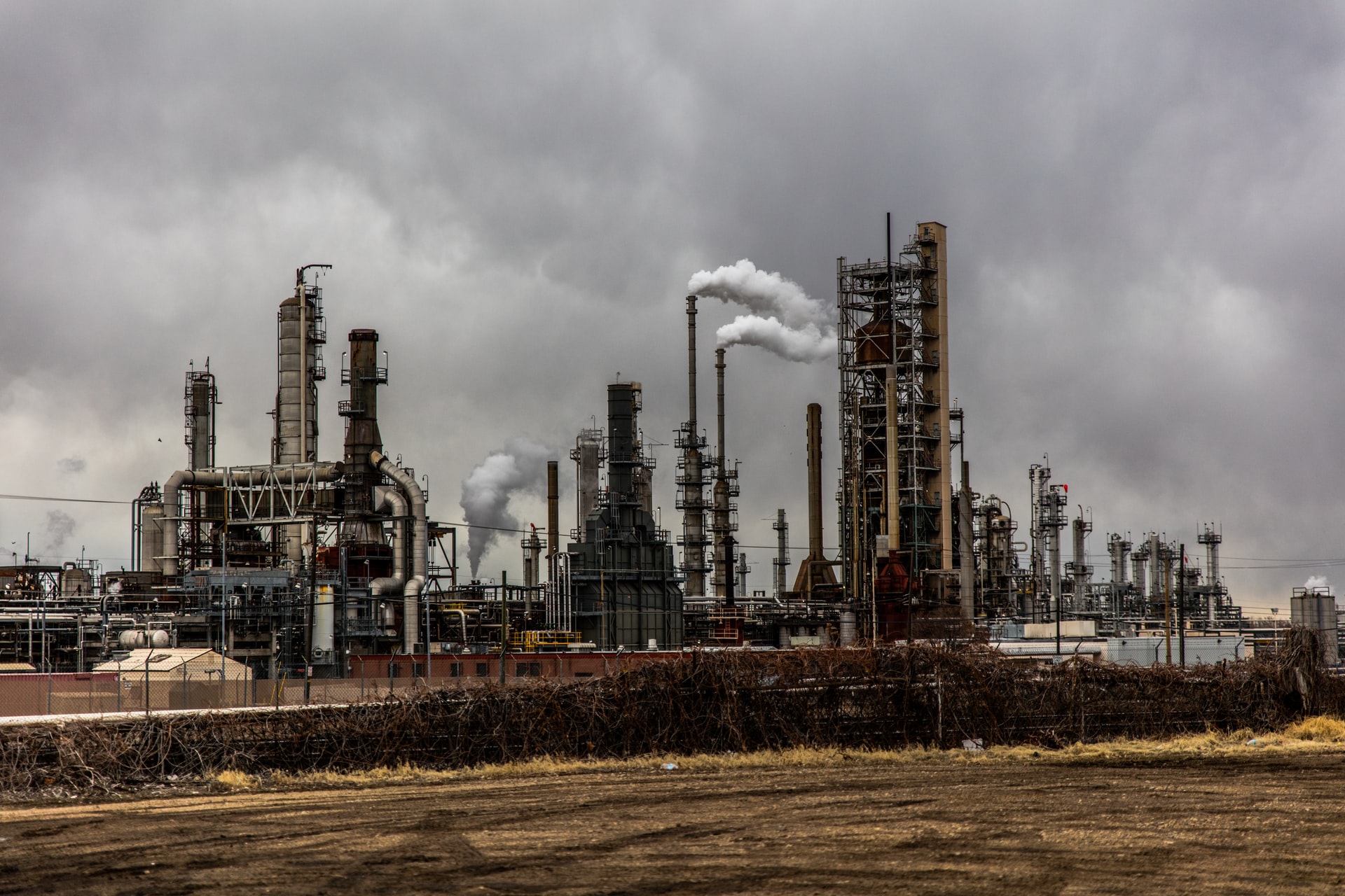 Issue #44: two unknown companies with fast-growing positions in fundamental backbone industries 🚨