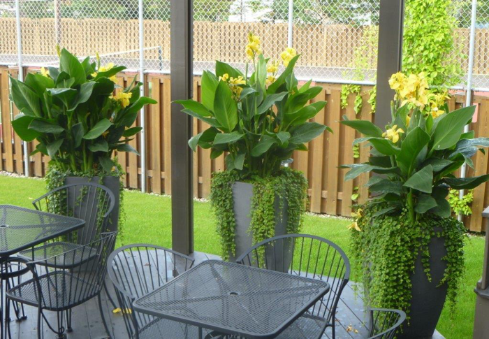 Jardin préparer entretien 1