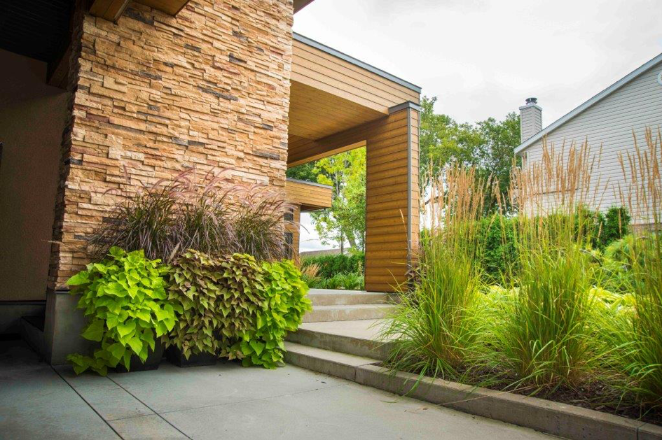 Calamagrostis Karl Foerester fleurs faciles au jardin