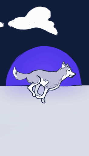 Husky correndo