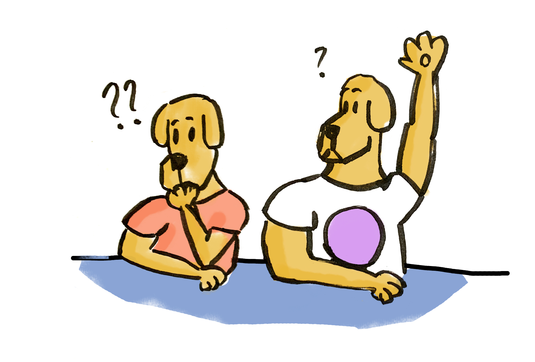 Confused dogs