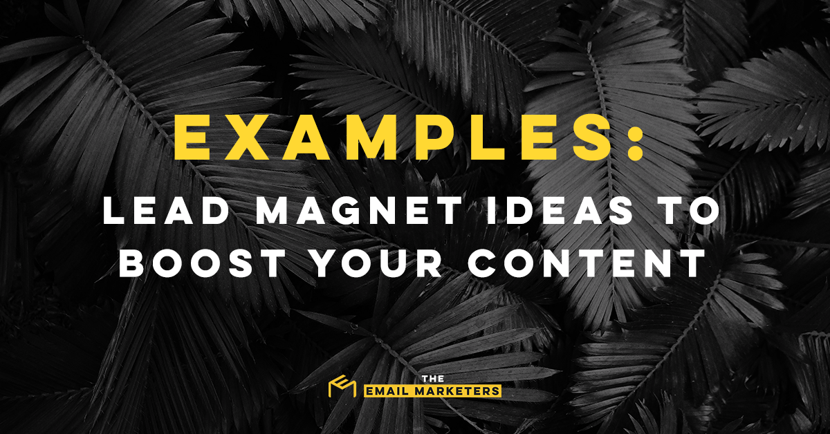 A photo of a leaf has overlaid header text: “Examples: Lead Magnet Ideas to Boost Your Content.”