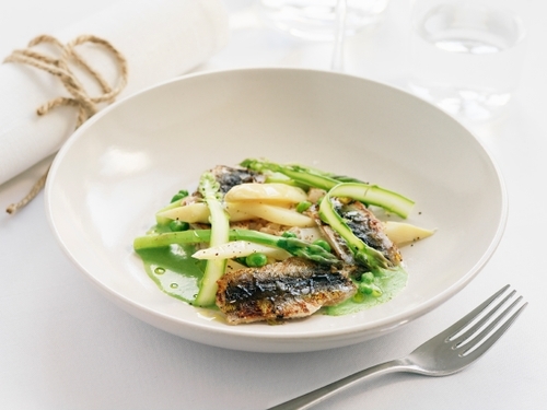 gravad och halstrad silklöja med sparris på vit tallrik