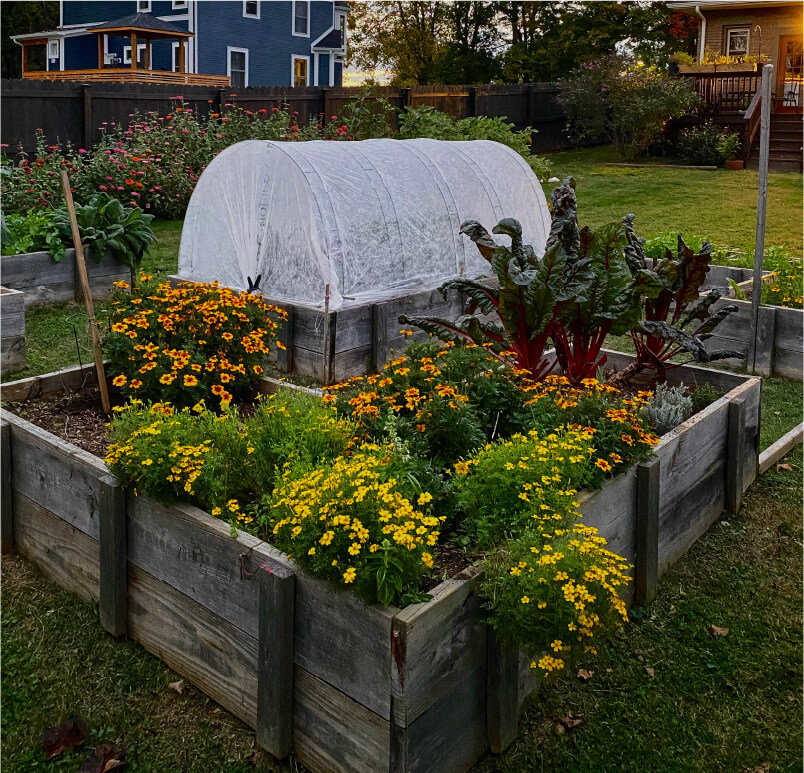 Lindsay Rogers garden