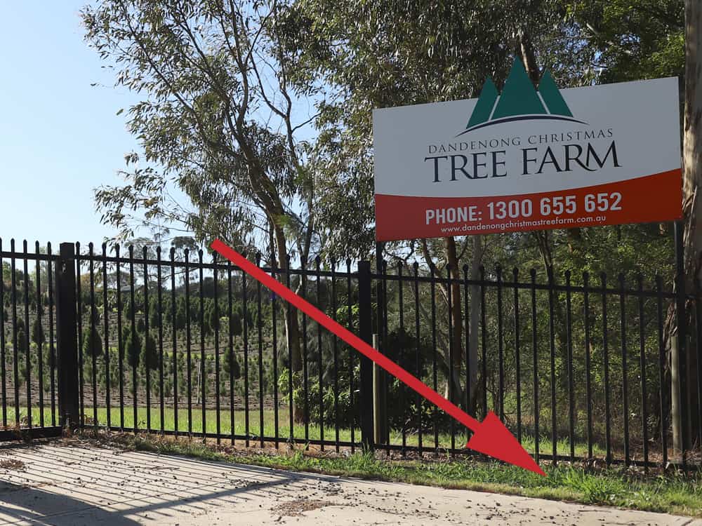 FAQs Dandenong Christmas Tree Farm
