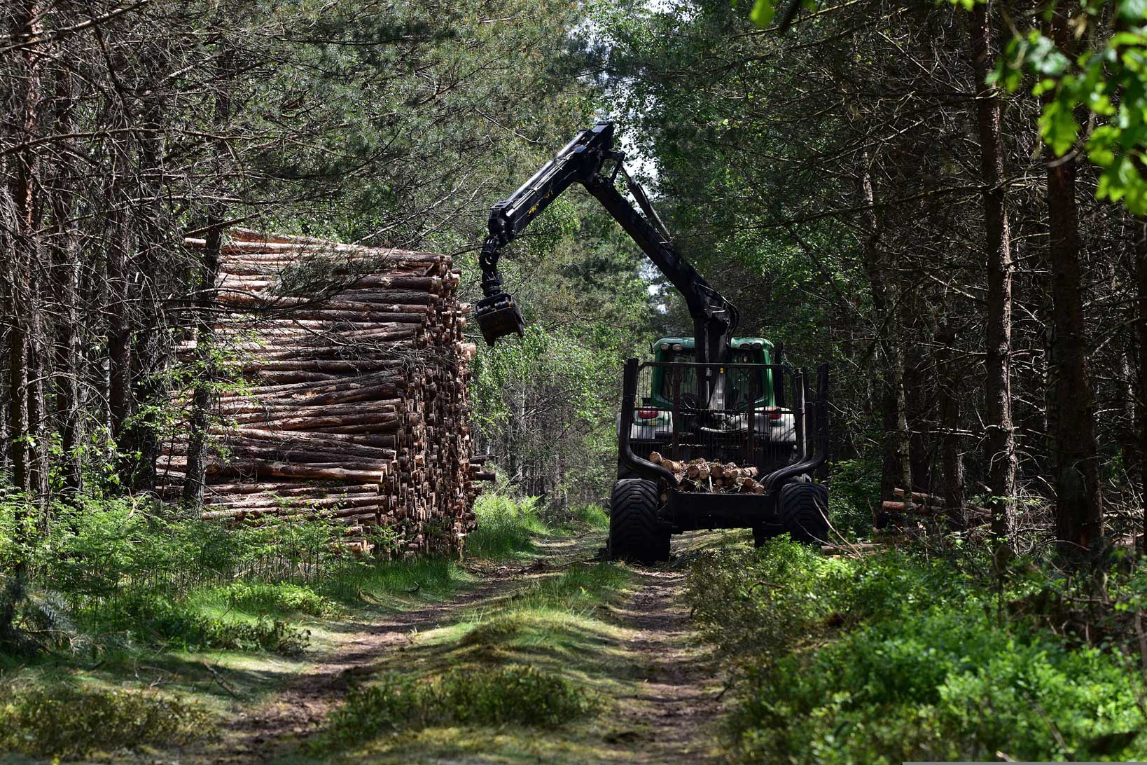 Ecco le proposte di prodotti professionali e leggeri per il lavoro forestale e la manutenzione del verde di Agrimodena Franchini