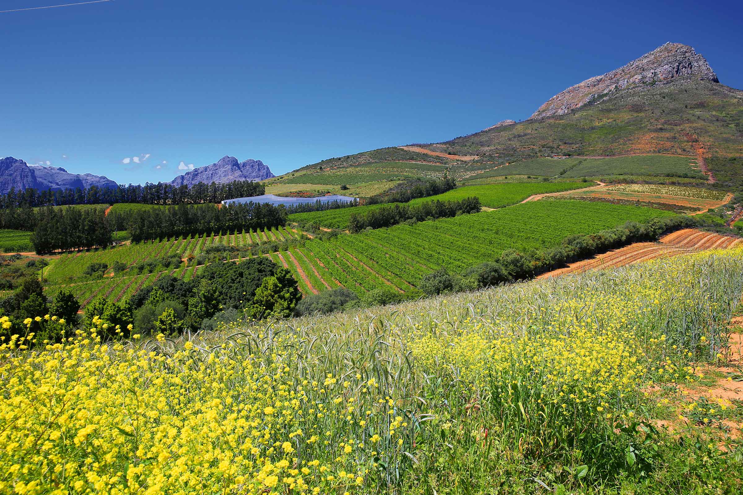 HOCHEDEL Luxusmagazin – Artikel